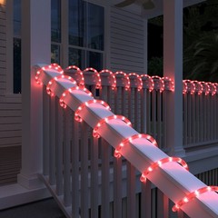 Red LED Rope Lights with Remote, Cuttable Connectable Flexible Tube Lights 8Mode