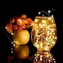 USB LED Fairy String Lights Copper Wire 10M 30M Christmas Party Garland Lamp