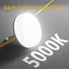 LED Construction String Lights 100FT, 10000 LM, 5000K Daylight LED String Work L