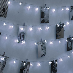 33Ft 100 LED Cool White Cherry Blossom String Lights for Indoor Outdoor Decor