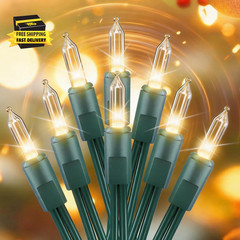 String Lights Battery Operated – 17 FT 50 LED Bulb Clear Lights with 8 Modes & T