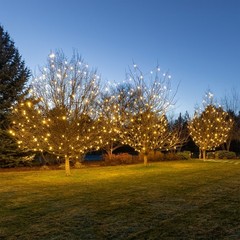 25 Pack C7 LED Outdoor Christmas Replacement Bulbs, C7/E12 Base