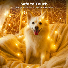 6 Pack Yellow Fairy Lights Battery Operated with Timer, 20 LED 3 Modes