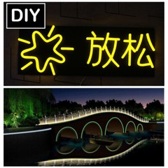 100ft 12/24V LED Neon Rope Light Strip Waterproof Outdoor Boat Car Party Decor