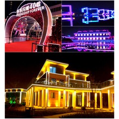 330ft 110V LED Neon Rope Light Strip Waterproof Commercial Building Home Decor
