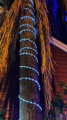 Assorted Size White LED Rope Lighting Waterproof Outdoor Christmas Tree Deco