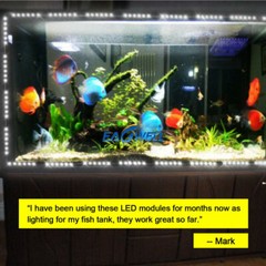 Bright IP65 Waterproof 5054 SMD 6 LED Module Light Window Store Front Lamp DC12V