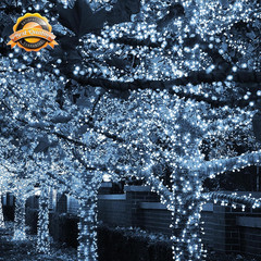 Outdoor Christmas String Lights, 1000 LED 328 FT Plug in Fairy Light with Remote