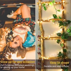 100 LED Fairy Lights Plug in String Light Outdoor 8 Mode Christmas Party Wedding
