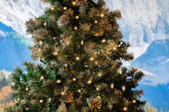 100 Light LED Christmas Mini Light Set, Patio Light, Warm White, Green Wire, 50’