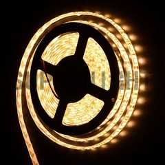 5M 300leds 3528/5050 SMD Warm/Cool White RGB/RGBW LED Strip Light