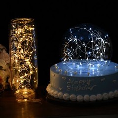 12 Pack 20 LED 6.6ft Battery Operated Mini LED Copper Wire String Fairy Lights