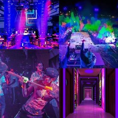 33ft LED UV Black Light Strip Kit, 600 Units UV Lamp Beads, 12V Flexible Blac…