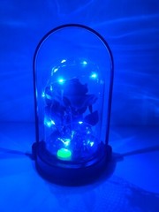 Halloween Rose Ghost Eye Lamp Portable Pendulum Eyeball Glass Dome New