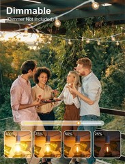 29-209FT Outdoor String Lights G40 LED Waterproof Dimmable Patio Hanging Decor