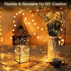 Fairy Lights with Switch 100/200 LED Plug in Copper String Light Christmas Party