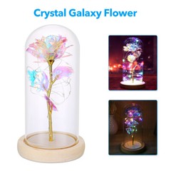 Rose Flowers Valentine’s Day Gifts for Women,Glass Dome Rose for Mom Wife