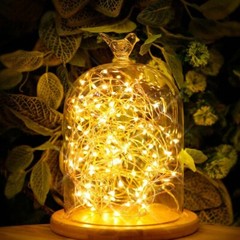 5-20M 50/100/200LED Copper Wire Party USB Twinkle LED String Fairy Lights Remote