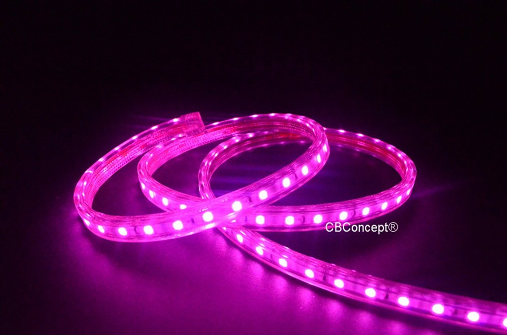 UL Listed,6.6 Feet,PINK,Dimmable,Super Bright 1800 Lumen 120Volt Flat LED Strip