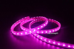 UL Listed,6.6 Feet,PINK,Dimmable,Super Bright 1800 Lumen 120Volt Flat LED Strip