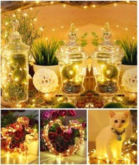 50-100 leds String Lights LED Fairy Lights Battery Operated Copper Lights Remote