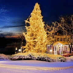 LED String Lights Tree Wedding Lamps Indoor Chasing Flash Outdoor Xmas Decor