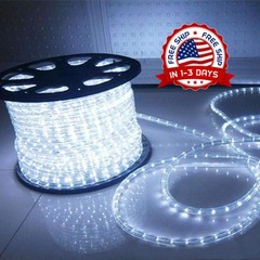 Tira De Luz De Neón Iluminación De Luces De Cuerda De Tubo De Neón 100 Ft NUEVO