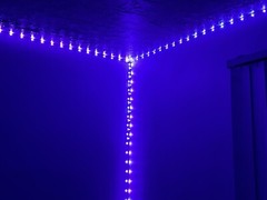 Led Lights 50ft Roll App Controlled