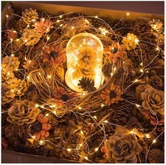 Fairy Lights Battery Operated String Light Remote String Lights For Garden Party