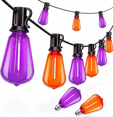 25Ft LED Outdoor String Lights, Halloween Orange Purple Lights with 25 0.6W ST38