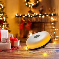 33ft Rechargeable Portable LED Camping String Lights Tent Fairy Lights RGB+Warm