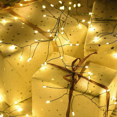 1pc LED Firecracker Fairy String Light Remote Control IP65 Xmas Decor – NEW