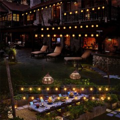 50 LED Solar String Lights Patio Party Yard Garden Wedding Waterproof Outdoor