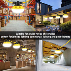 50 Ft. 120 Volt LED Construction String Lights, Linkable, 5000K Daylight, W/ Cli
