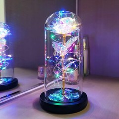 Rose Flowers Valentine’s Day Gifts for Women,Glass Dome Rose for Mom Wife
