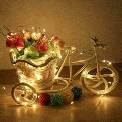 100/200 Solar LED Fairy String Light Copper Wire Outdoor Garden Decor Waterproof
