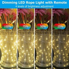 Outdoor Rope Light 100ft Waterproof Color Changing String Lights RGB