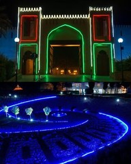 24V RGB IC LED Neon Rope Light Strip Waterproof In/Outdoor Commercial Home Decor