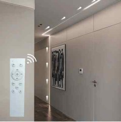 WS2811 COB Running Water Flowing LED Strip Light Race Wireless Remote Controller