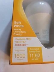 Sylvania LED A21 Soft White 100 watt equivalent Glass LED Light Bulb