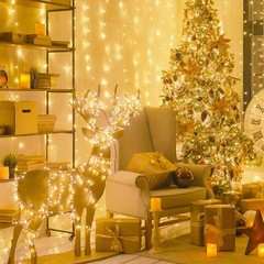 100 LED Fairy Lights Plug in String Light Outdoor 8 Mode Christmas Party Wedding