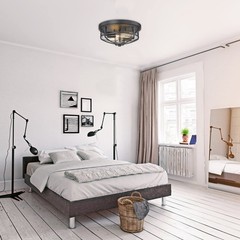 Darkaway Flush Mount Ceiling Light Clear Glass Shade Indoor Outdoor 2-Light