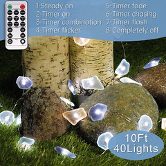 10Ft 40 LED String Light Sea Glass Festive Beach Themed Multi-Function Remote