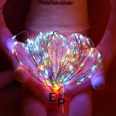 50-100 LEDs Battery Operated Mini LED Copper Wire String Fairy Lights W/ Remote