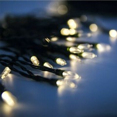 Outdoor String Lights Christmas Lights Battery Operated String Lights 50 Led USA