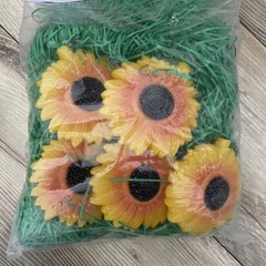 Sunflower String Lights Primal Lite Fun Lights Y2K 90s Bohemian 12 Ft