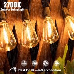 100FT Outdoor String Lights Patio Lights 2Pack-(50ft 25 Led) ST38 Shatterproof