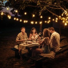 Guirnalda de luces LED navideñas con forma de estrella de 100 pies