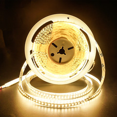 12V 24V SMD 2835 Super Bright Cool White 1200 LED Flexible Light Strip 6000K 10M