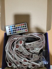 SMART PERMANENT OUTDOOR LIGHTS 60 Ft.